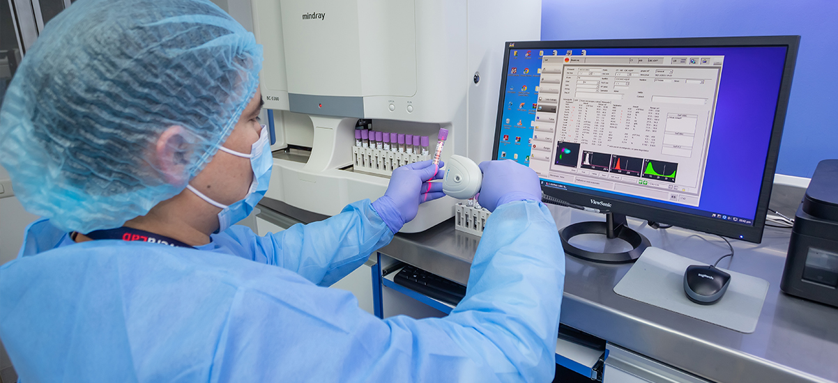 Seguridad y Confianza